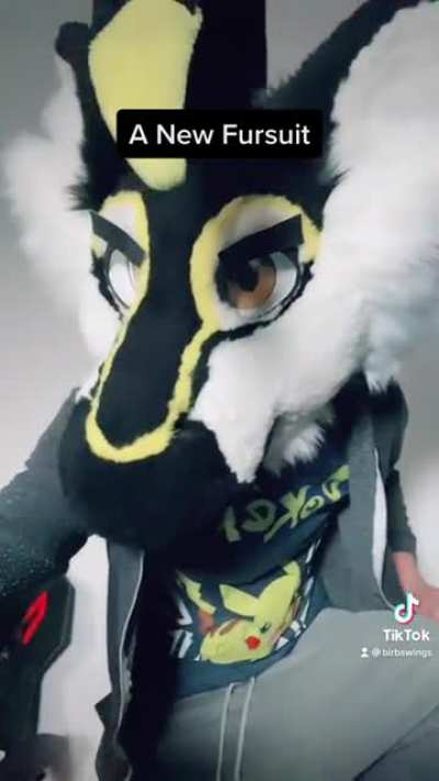 Fursuit_irl