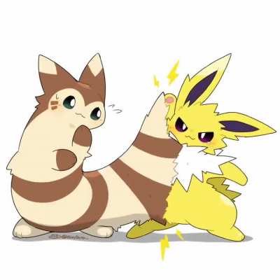 Fight of the Century