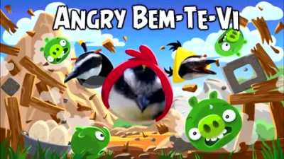 angry bem te vi e bom velho OMEGALUL