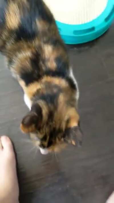 Girlfriend went out of town for a few days and I think someone misses her