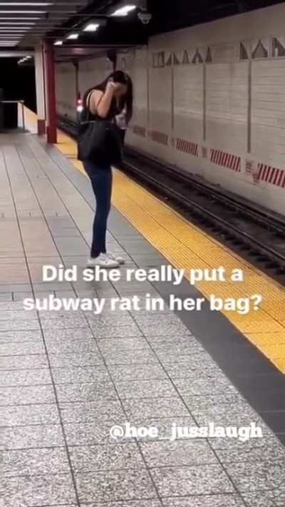 she put a rat in her bag!!!!!!!