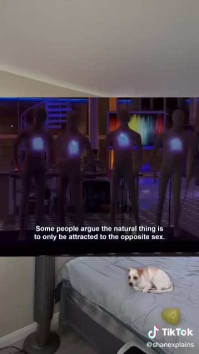 🎶bill nye the ally guy🎶🏳️‍🌈🏳️‍🌈🏳️‍🌈🏳️‍🌈