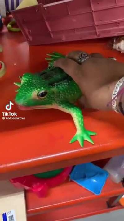 Rana