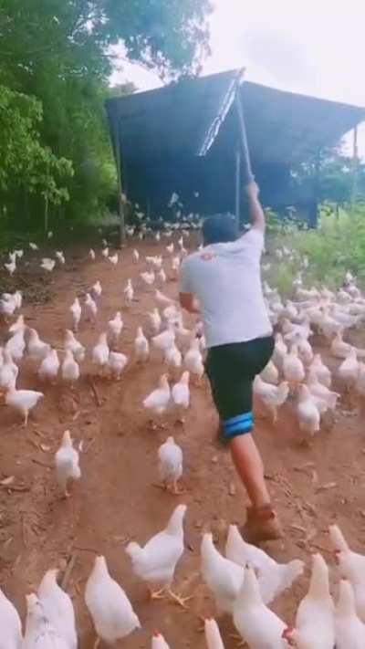 Leader is always a leader, everywhere