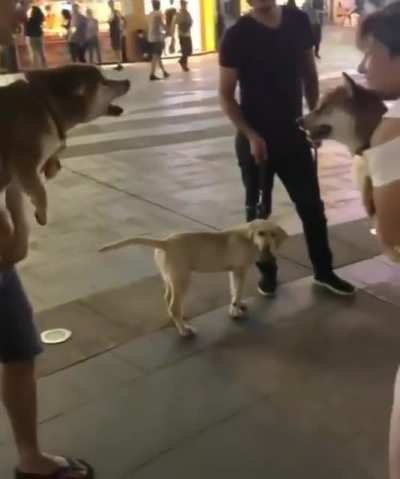 To fight
