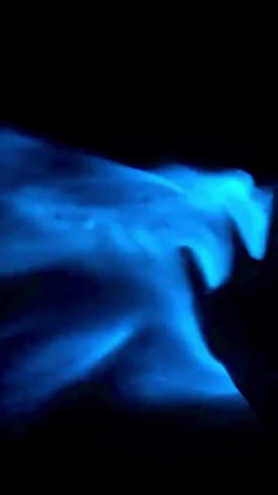 Look at this Bioluminescent waves