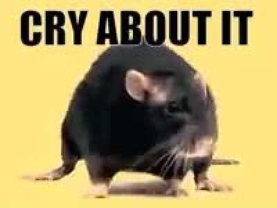 What da Rat Doin?