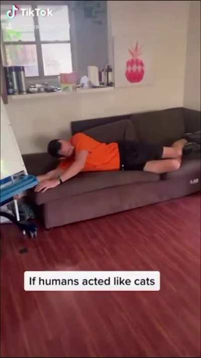 If we acted like our pets