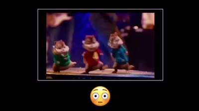 the chip rats are diss able???!😳😭
