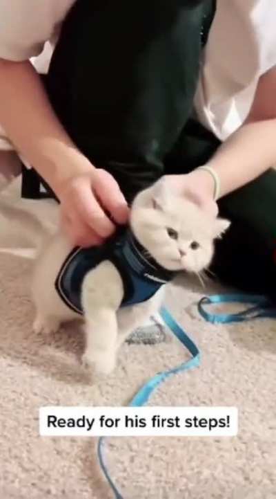 c@.exe has stopped working