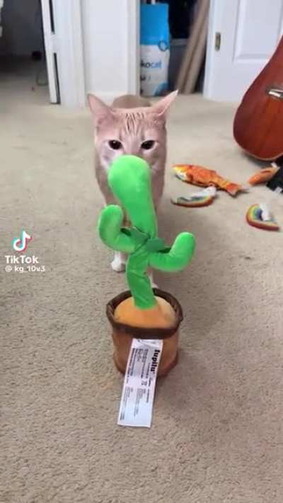 𑲭𑲭𑲭𑲭𑲭𑲭𑲭𑲭𑲭𑲭𑲭𑲭𑲭𑲭𑲭𑲭𑲭𑲭𑲭𑲭𑲭𑲭𑲭𑲭𑲭𑲭𑲭𑲭𑲭𑲭𑲭𑲭𑲭𑲭𑲭𑲭𑲭𑲭𑲭𑲭𑲭𑲭𑲭𑲭𑲭𑲭