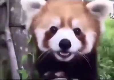 He’s got such a big smile!
