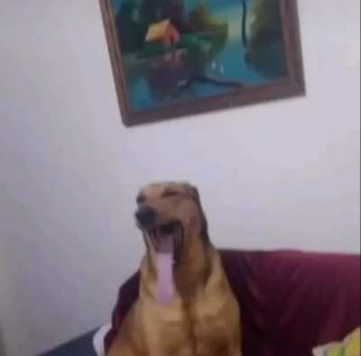Walter