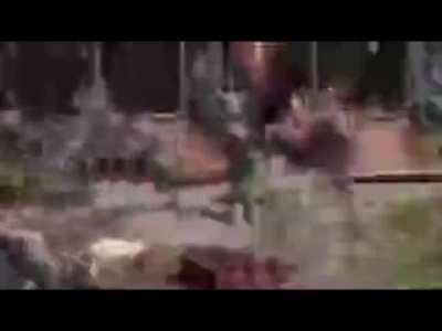 4mb shrek yaptım