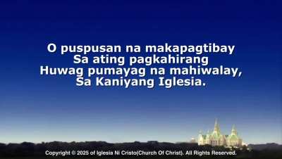 PNK/CWS 62