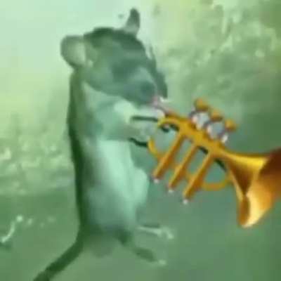 Rulę 2