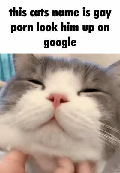true