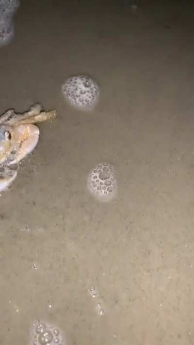He was a little crabby, but I had it coming.