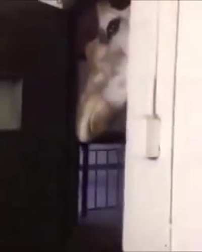 😨