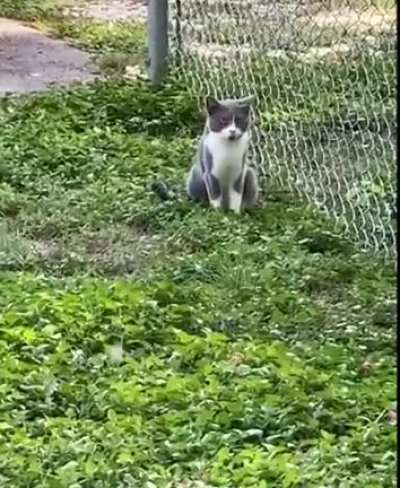 Who are you staring at bro