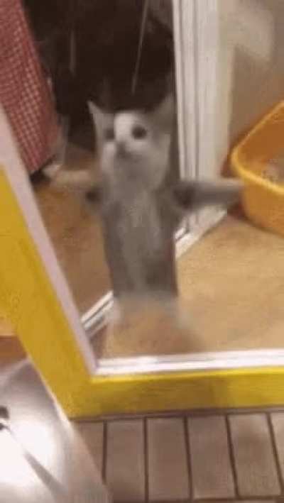 I GOT A BOYFRIEND (Image sort of related)