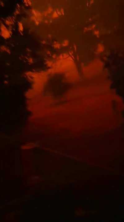 One year ago today when the Tianjara and Currowan fires combined at about 4pm to wipe us out