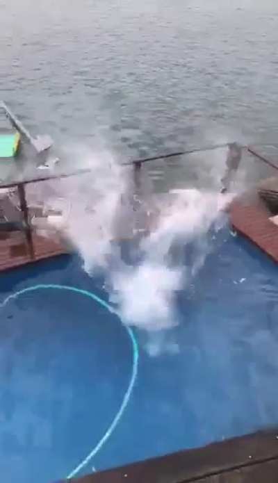 Miscalculated