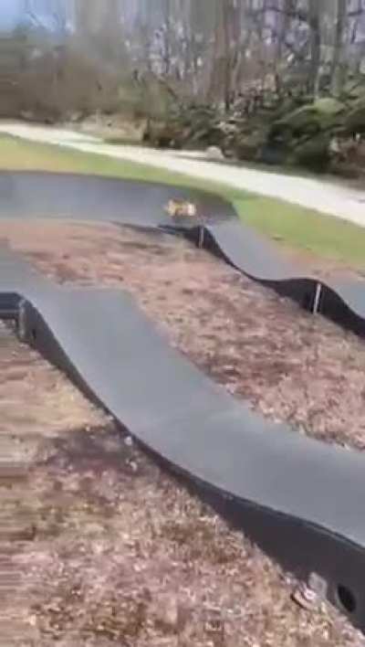 Doggo Grand Prix