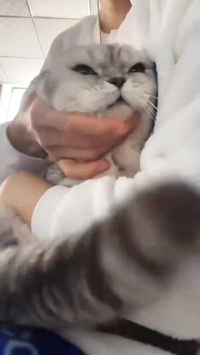 When you pet a mountain bike