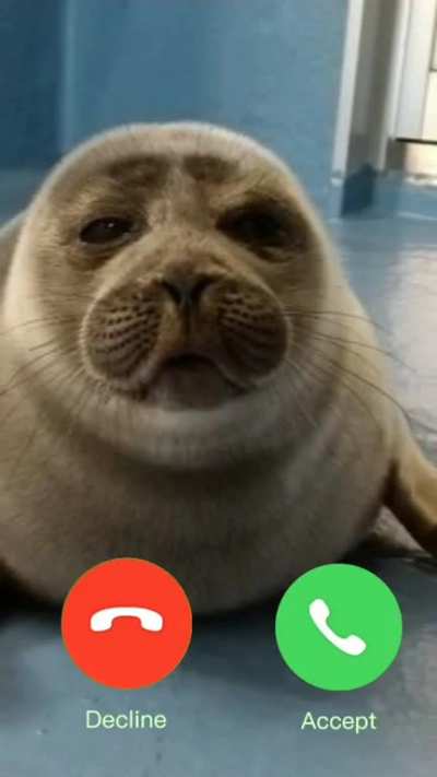 what does he want?