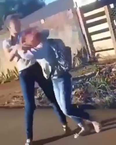 Fly