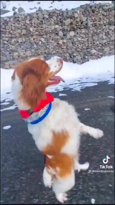 That strut