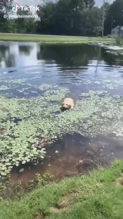 Oh my gosh, you alright?!