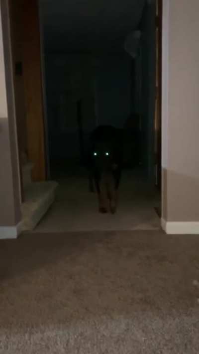 Steven is scary