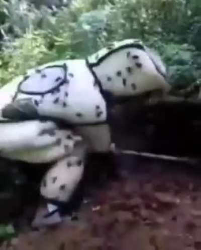 Nooo