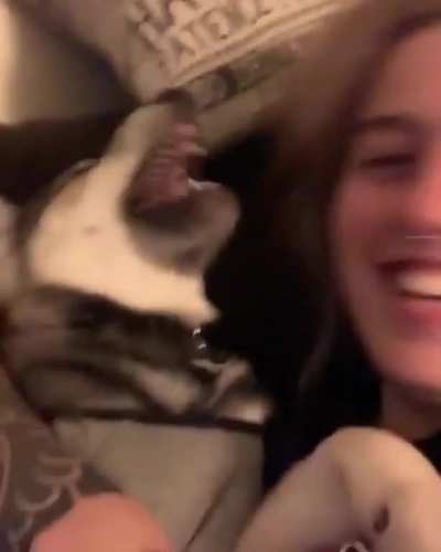 Her laugh, the doggo noises. *chefs kiss*