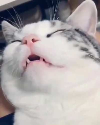Oh my goodness please turn on sound