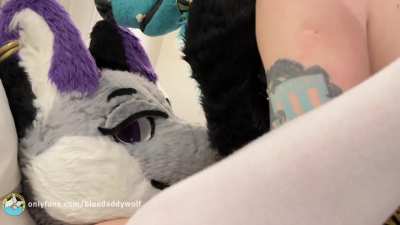 Need more cum-hungry slutty vixens like this to breed and impregnate daily<wbr>🔥🐺🍆💦