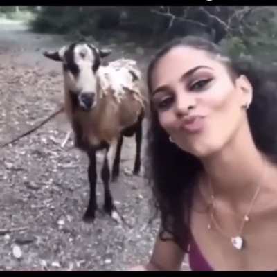 G.O.A.T