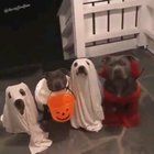Spooky