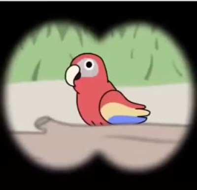 first person discovering the parrot