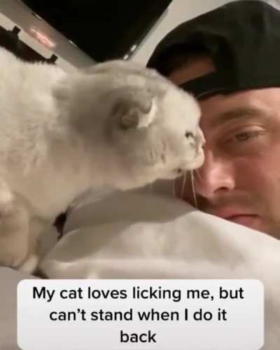 No lick backs please!!