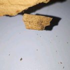 My gingerbread had a piece of hair connecting two pieces.