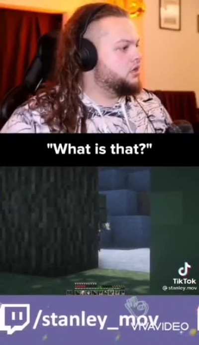 What is that thing?... AAAAHHHHH