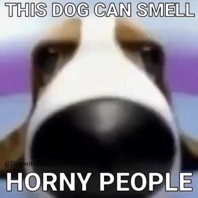 I FOUND THE HÖRÑY
