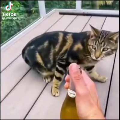 Pop! 🍾