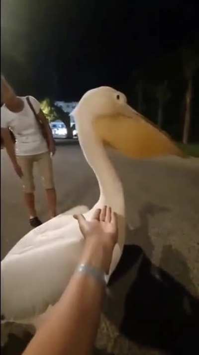 hmmmmmmm