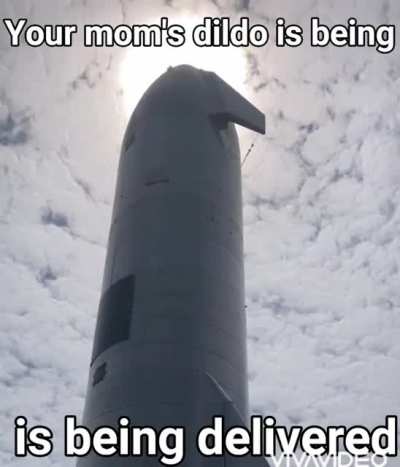 Your mama so fat they had to make a rocket size dildo