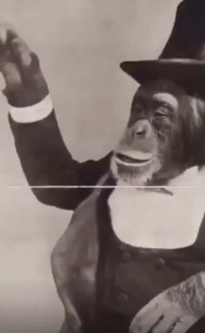 🐒🎩🗿