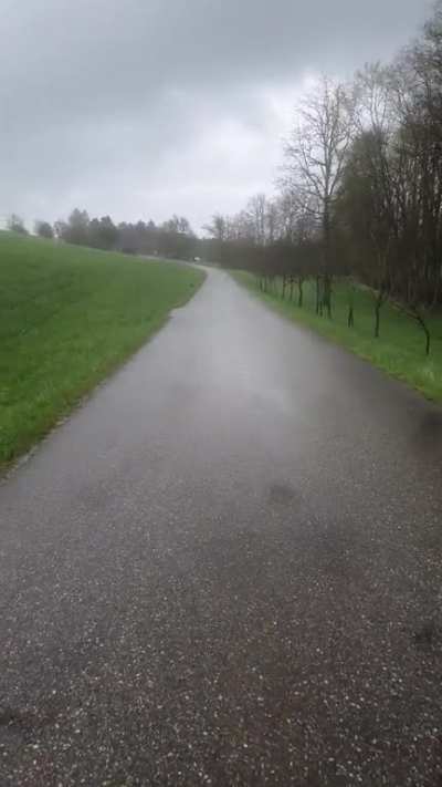 Walk in the rain(the lonely Tree version)